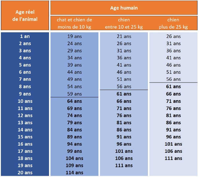 tableau des ages